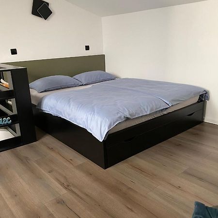 Strawberry Apartments City Center 노비사드 외부 사진