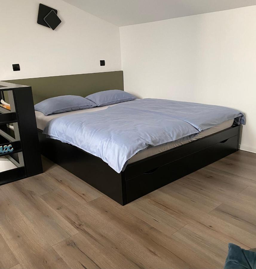 Strawberry Apartments City Center 노비사드 외부 사진