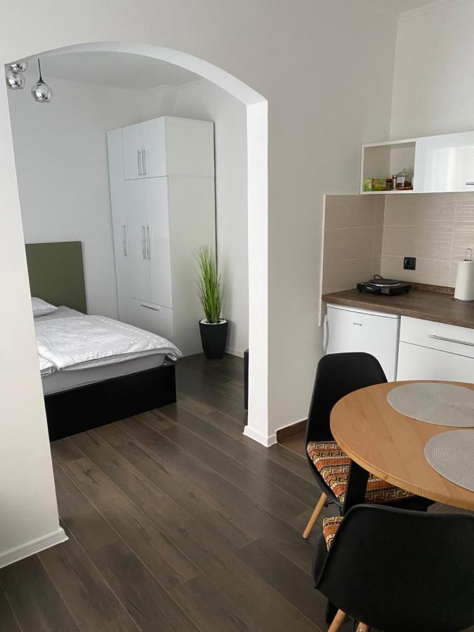 Strawberry Apartments City Center 노비사드 외부 사진
